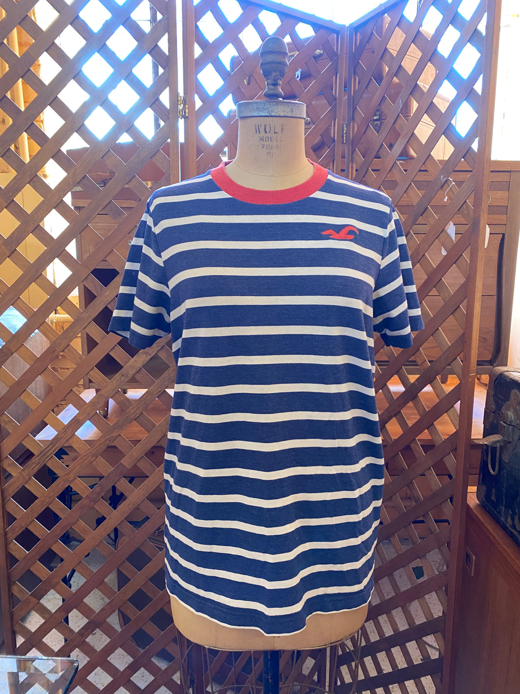 Striped Blue and White T-Shirt with Red Collar (XL)