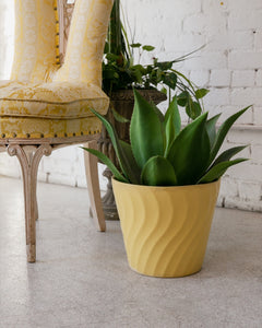 Vintage Yellow Planter