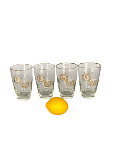 Vintage Rx Pharmacy Medical Cocktail Glasses Set