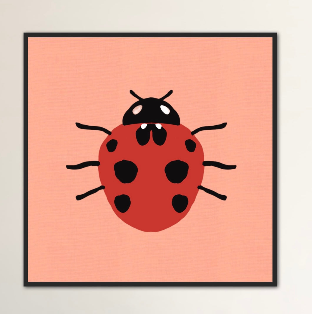 Lady Bug