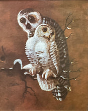 Load image into Gallery viewer, Small Vintage Owl Framed #2
