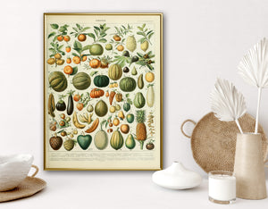 Vegetable Garden Poster