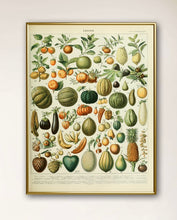 Load image into Gallery viewer, Vegetable Garden Poster
