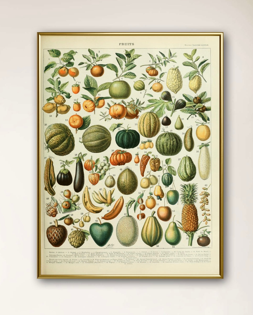 Vegetable Garden Poster