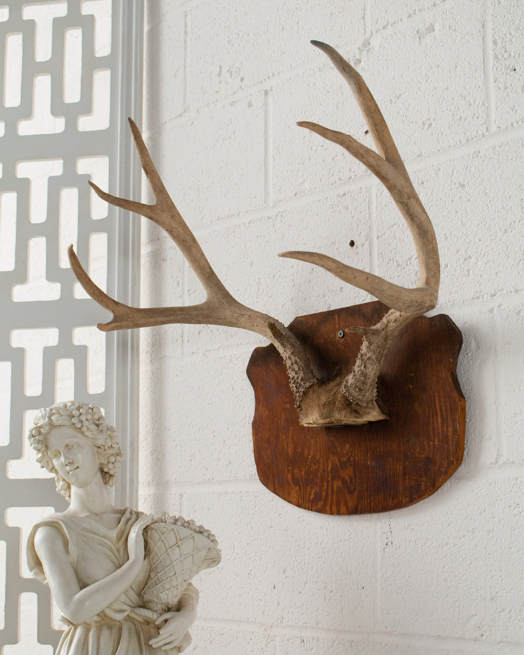 Antique Antlers