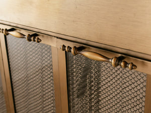 Brushed Brass Fire Place Screen frame